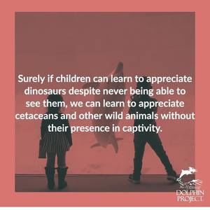 Meet your Posher, Jocelyn